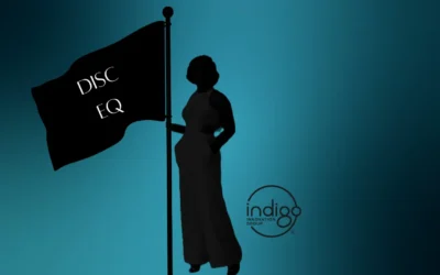 DISC and EQ Assessment in Guiding Change Leadership