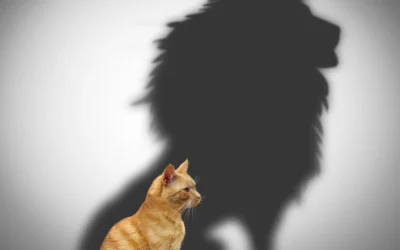 Centering Courageous Conversations