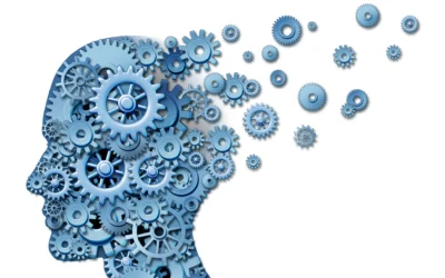 Transformation Trauma: Embrace, Resist, Challenge, or Stop?